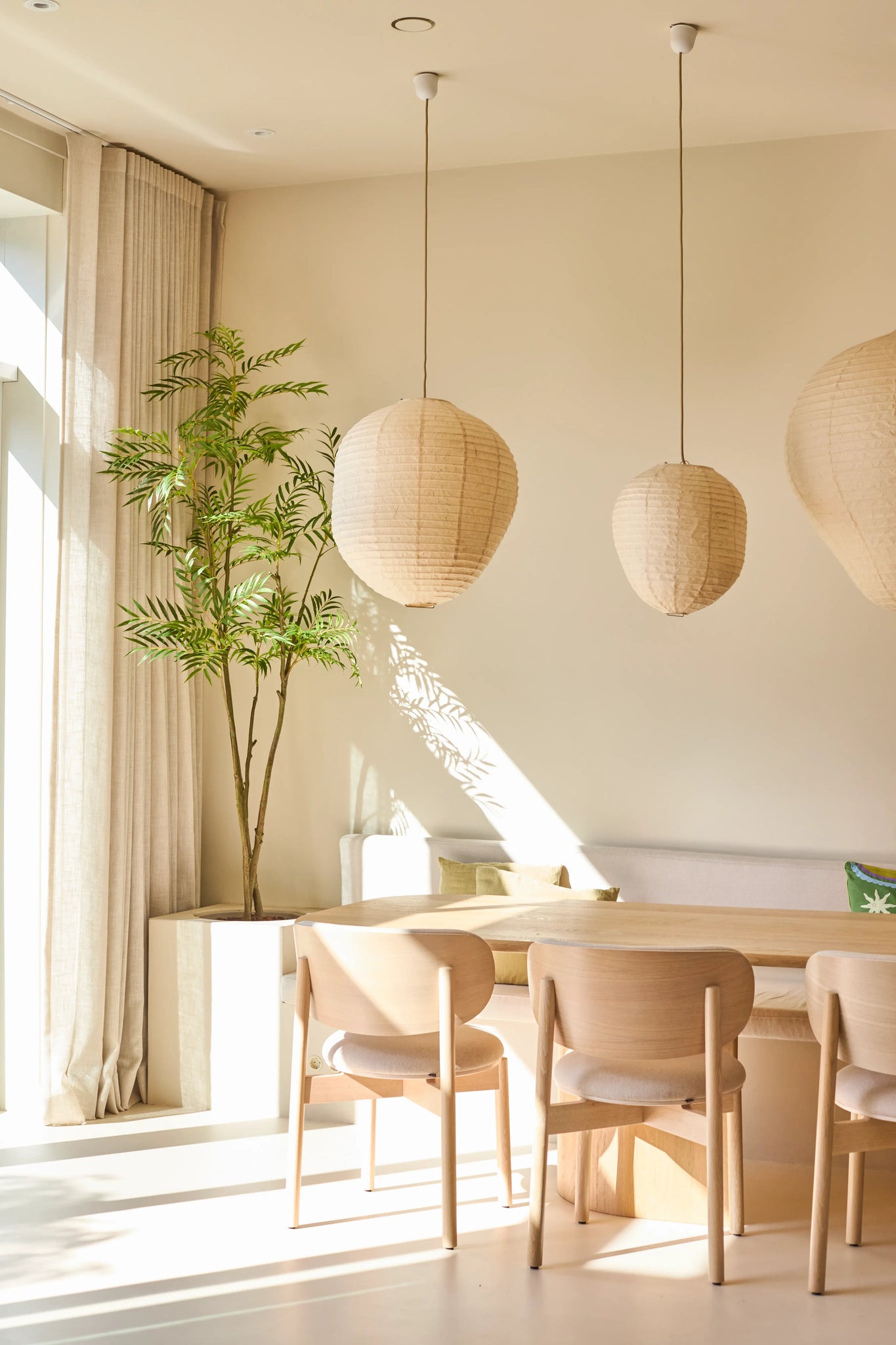 En lys, minimalistisk spiseplads er indrettet med lyse træstole, et bord, tre papirhængende lamper, den 210 cm kunstige Mahonia-plante i en potte og gulv-til-loft-gardiner nær et stort vindue, der lukker sollys ind.