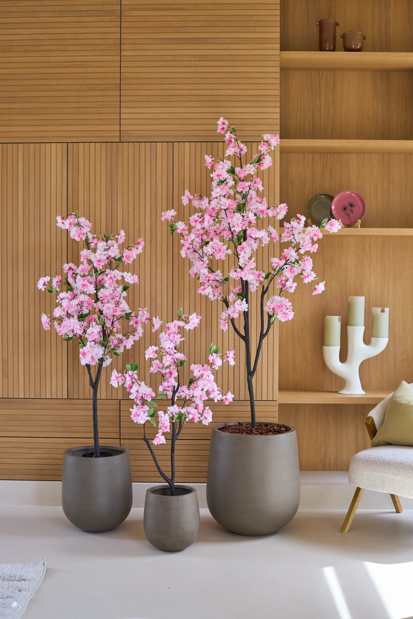 Drie Kunst Kersenbloesem-bomen van 120 cm, versierd met delicate roze bloesems, staan voor een houten lambrisering, naast een beige fauteuil en een moderne witte kandelaar op de plank. Deze elegante opstelling van kunstbloemen geeft elke ruimte blijvende schoonheid en verfijning.