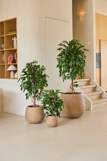 Tre stueplanter i krukker i forskellige størrelser, inklusive kunstplanten Ficus Green 90 cm, er arrangeret på et lyst gulv nær en trappe, med træhylder og boligtilbehør i baggrunden – et ideelt arrangement af kontorplanter til enhver moderne arbejdsplads.