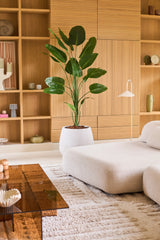 En moderne stue med en lys beige sofa, en kunstig Strelitzia plante på 210 cm med et naturtro udseende, der giver en levende grøn accent, et stort brunt glas sofabord og indbyggede træhylder dekoreret med dekorative genstande og keramik. Denne letplejede kunstige plante Strelitzia bringer naturlig skønhed til rummet uden behov for vedligeholdelse.
