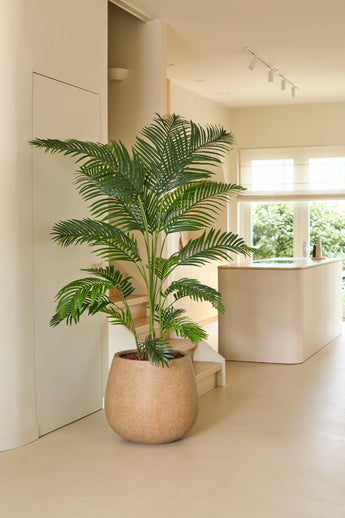 En kunstig Chamaedorea plante på 180 cm står i et moderne lyst køkken med neutrale toner, minimalistisk indretning og naturligt lys, der strømmer ind gennem vinduerne.