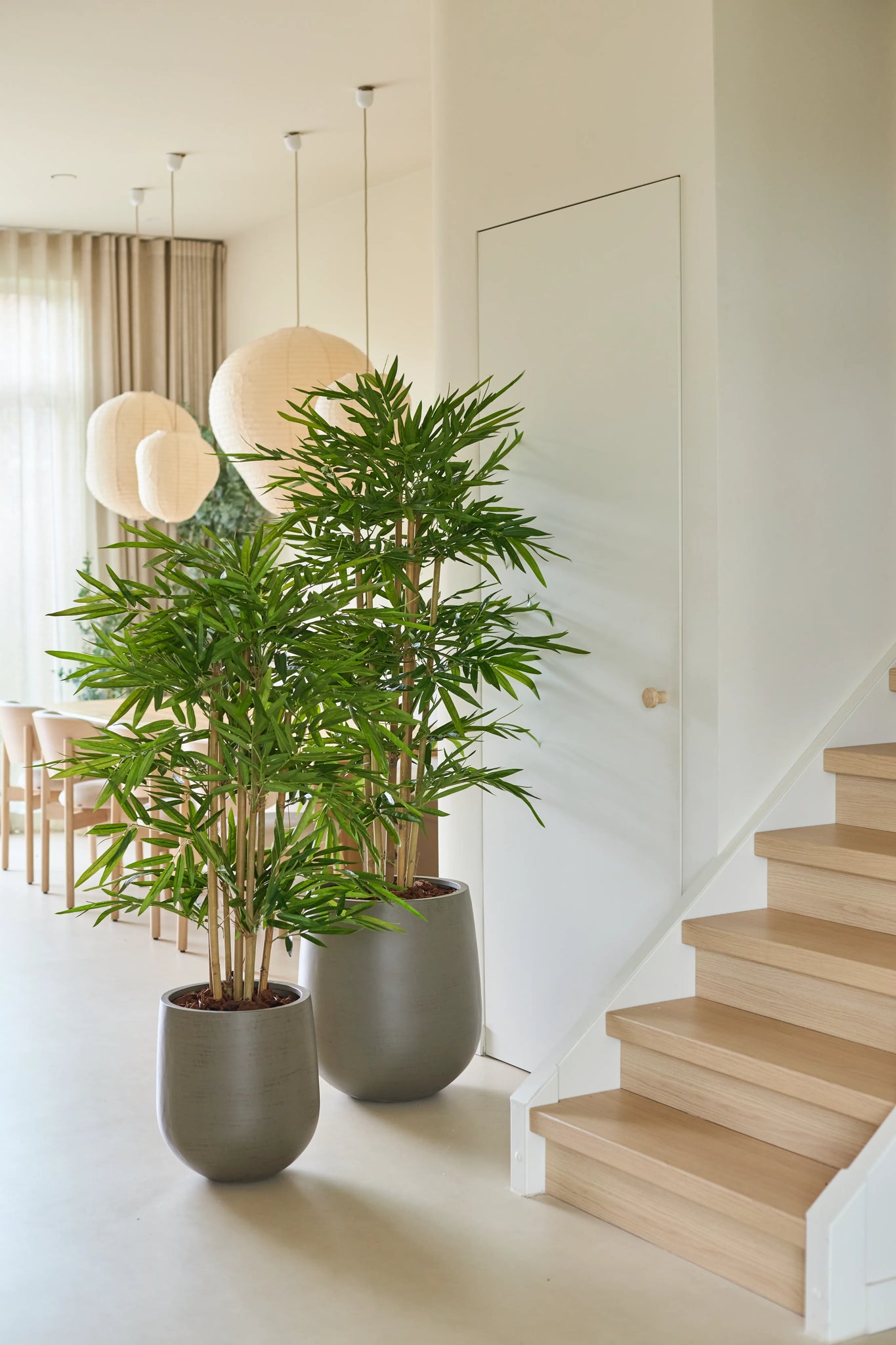 To 120 cm kunstige bambus potteplanter står ved siden af ​​en lys trætrappe i et lyst, moderne interiør med store vinduer, lysgardiner, runde papirlanterner og neutral indretning.