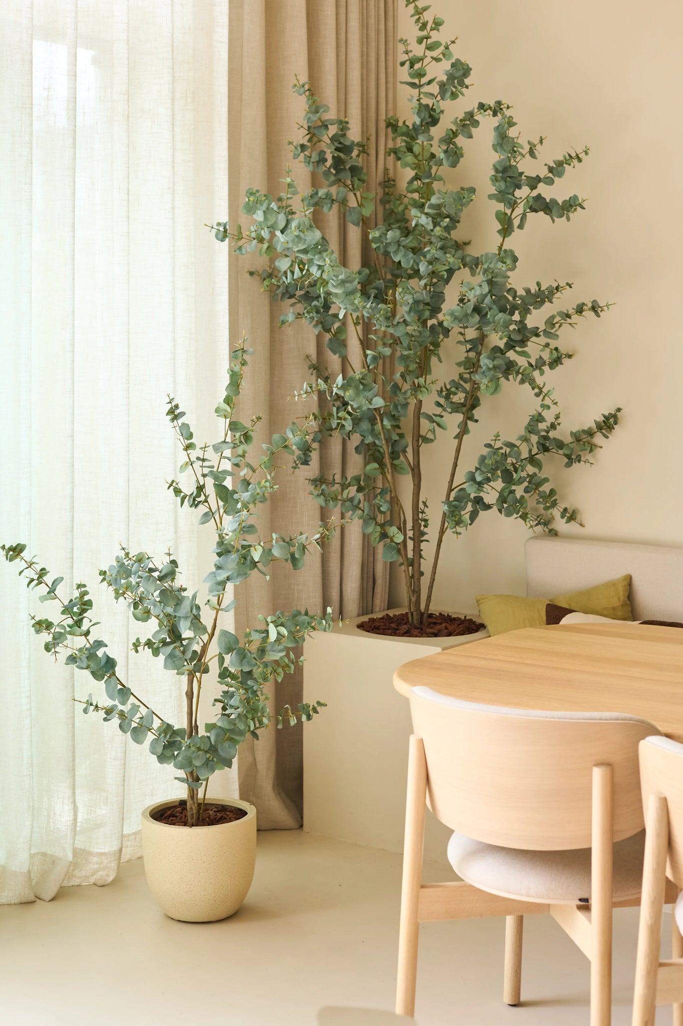 Twee Kunstplant Eucalyptus kunstplanten van 150 cm, geplaatst naast transparante gordijnen en beige muren, gecombineerd met een eettafel van licht hout en stoelen in een minimalistisch, modern interieur.