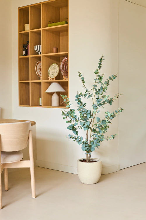 Et minimalistisk værelse med lyse træmøbler, en 150 cm kunstig eukalyptusplante på gulvet og en åben væghylde i træ, hvor service og en lampe er udstillet. Neutrale farver og rene linjer skaber en rolig, luftig atmosfære.