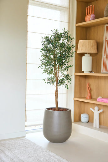 In een lichte, moderne woonruimte staat een Kunst-olijfboom UV van 160 cm met weelderig groen gebladerte naast houten planken waarop boeken, beeldhouwwerken, een lamp en decoratieve voorwerpen zijn uitgestald.