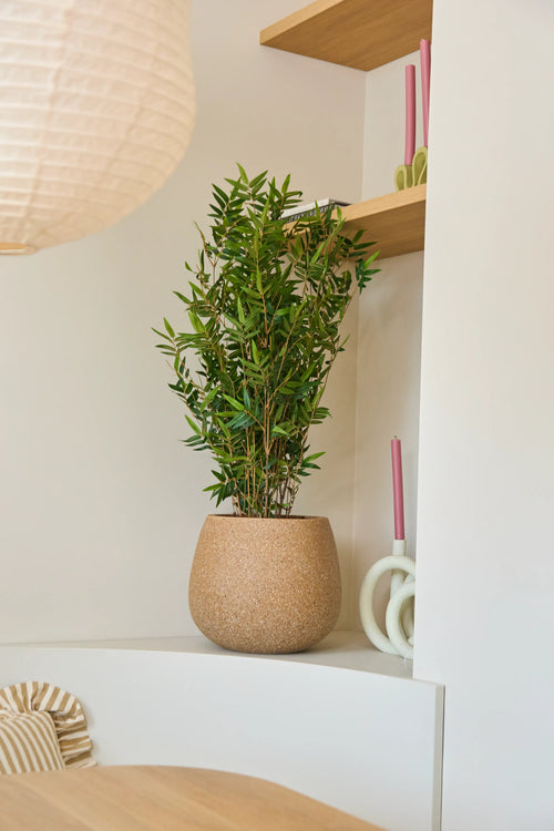 En Artificial Plant Bamboo Deluxe på 90 cm står på en hvid hylde ved siden af ​​to lyserøde stearinlys og træplanker; en rund lampeskærm og en stribet pude er delvist synlige.