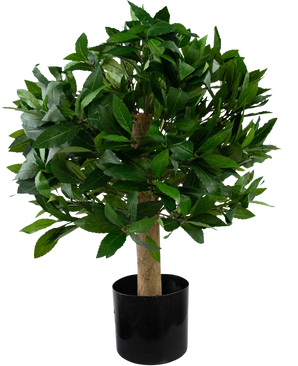 Kunstig plante Laurbær d40 cm UV