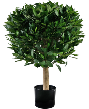 Kunstig plante Laurbær d55 cm UV