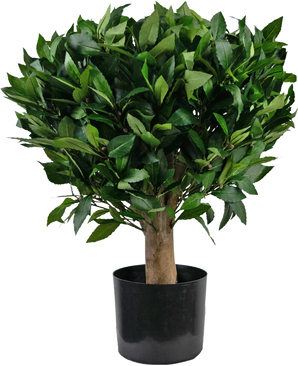 Kunstig plante Laurbær d65 cm UV