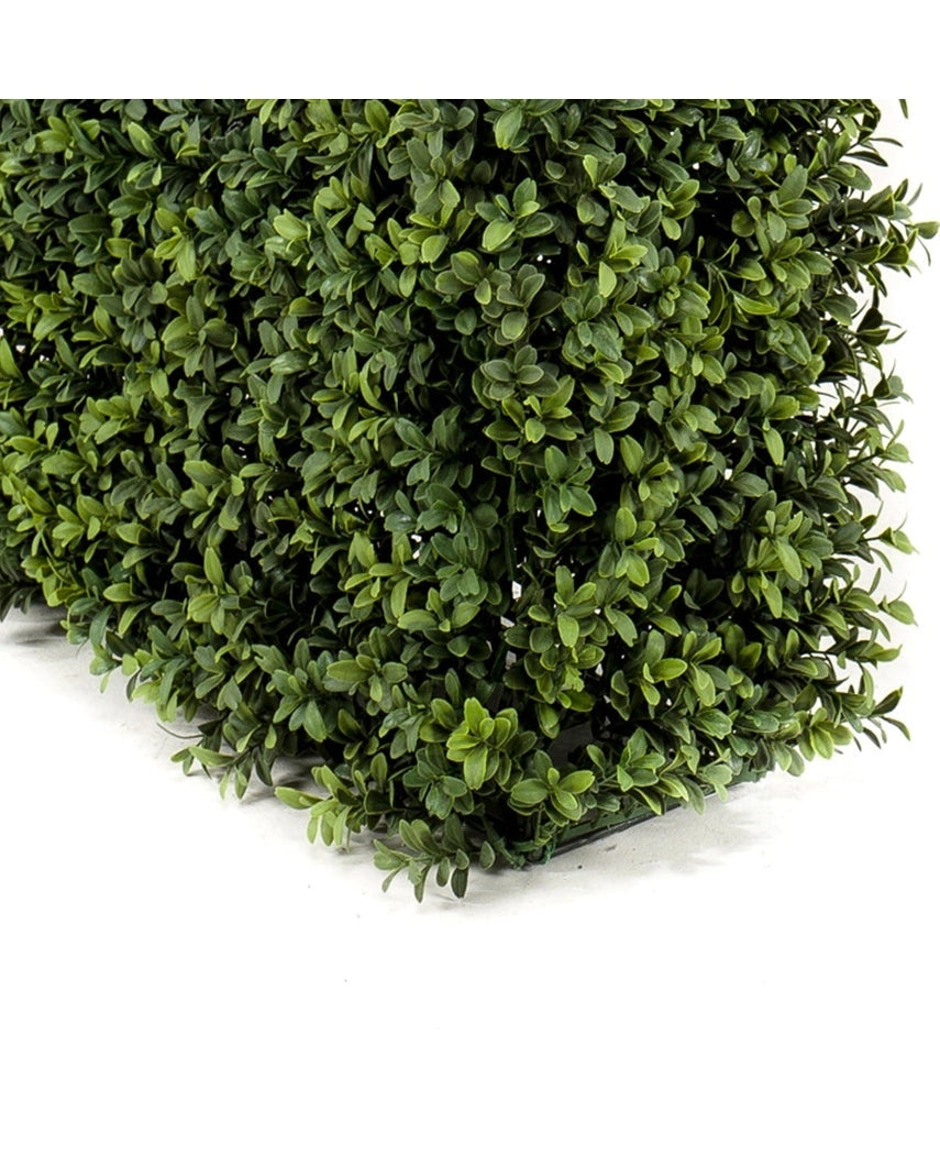 Kunst Buxushaag UV 100x20x50 cm haagpaneel met kleine, glanzend groene bladeren is afgebeeld op een witte achtergrond.