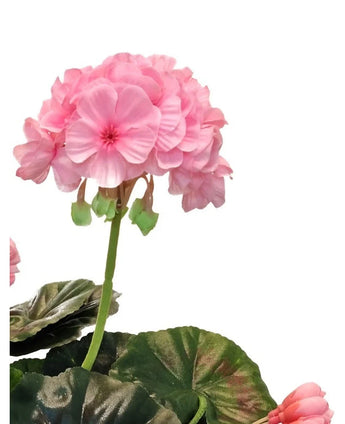 Et nærbillede af Artificial Geranium 40 cm pink, med naturtro lyserøde blomsterklaser og grønne blade mod en hvid baggrund, hvilket understreger den realistiske skønhed ved denne kunstige plante.