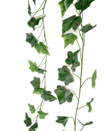 Artificial Ivy Garland 180 cm grøn/hvid har to tråde af naturtro grønne og hvide efeublade i forskellige størrelser med realistisk åring, hængende lodret mod en hvid baggrund.