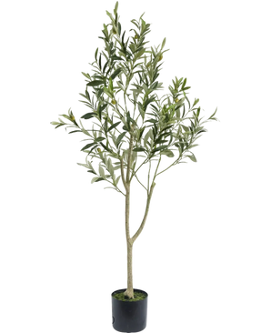 De Kunst Olijfboom 120 cm heeft slanke takken en groene bladeren in een eenvoudige zwarte pot, ideaal als decoratief element voor een mediterrane sfeer op een witte achtergrond.