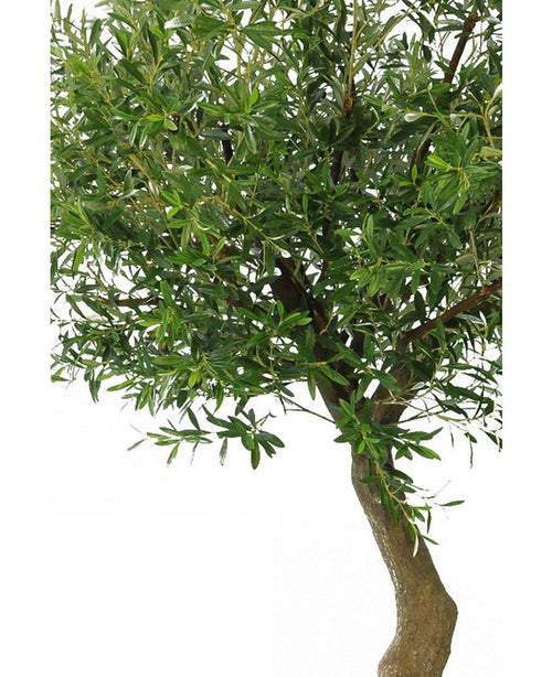 Et nærbillede af det kunstige oliventræ 270 cm uden oliven, med en slank brun stamme og tætte grønne blade i dekorative potter mod en almindelig hvid baggrund.