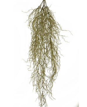 De Kunst hangplant Sudo 110 cm heeft dunne, warrige bruingroene stengels tegen een witte achtergrond - ideaal voor het toevoegen van sfeer in huis zonder onderhoud.