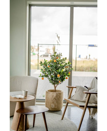 Een Kunst sinaasappelboom 120 cm staat bij een groot raam in een moderne, lichte woonkamer met een beige stoel, houten bijzettafel en een koffiekopje op een schoteltje.