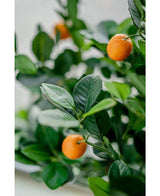 Close-up van de Kunst sinaasappelboom 120 cm, met levendige groene bladeren en kleine oranje vruchten. De zacht vervaagde achtergrond accentueert de levensechte kleuren van deze decoratieve kunstplant.
