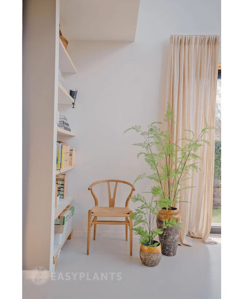 I et lyst rum er en træstol, en reol og tre grønne potteplanter - inklusive den markante kunstige bregneplante 120 cm - anbragt nær et gulvlangt vindue med beige gardiner. Rummet udstråler fred og minimalisme, perfekt til at bruge smukke stueplanter eller en elegant kunstig plante som den 120 cm kunstige bregne.