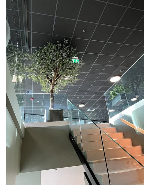 En moderne indvendig trappe med glasrækværk fører til en repos med det kunstige oliventræ med oliven (270 cm) i en stor potte, placeret under et gittermønsterloft, forsænket belysning og et synligt grønt nødudgangsskilt.