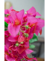 Een close-up van de Kunstbloem Bougainvillea 90 cm paars toont levendige paarse kunstbloemen met groene knoppen tegen een zacht onscherpe achtergrond.