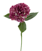 De Kunstbloem Charlotte Hortensia Real Touch paars 55 cm heeft een enkele steel van een paarse hortensia met meerdere kleine bloemblaadjes en groene bladeren, tegen een effen witte achtergrond.