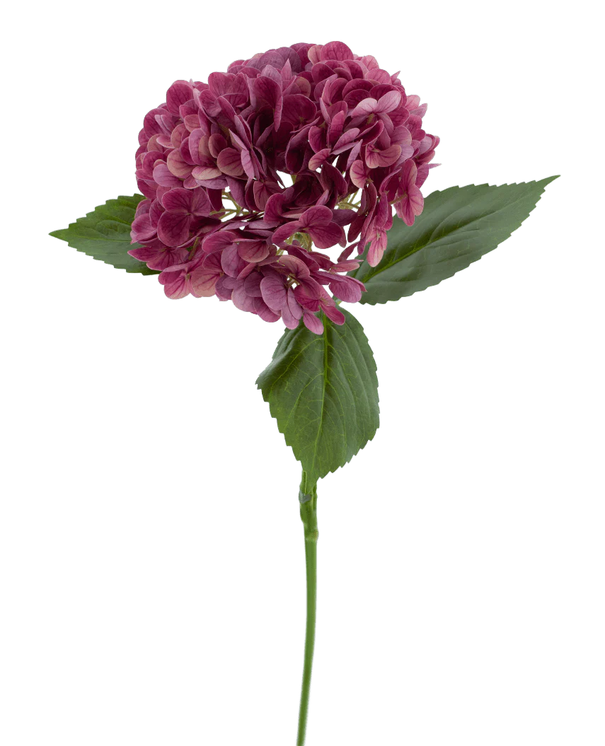 Den kunstige blomst Charlotte Hydrangea Real Touch lilla 55 cm har en enkelt stilk af en lilla hortensia med flere små kronblade og grønne blade, mod en almindelig hvid baggrund.