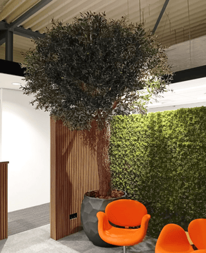 The Artificial Tree Olive 300 cm er placeret inde ved siden af ​​et træpanel og en grøn mosvæg, med to orange moderne stole foran under et industriloft.