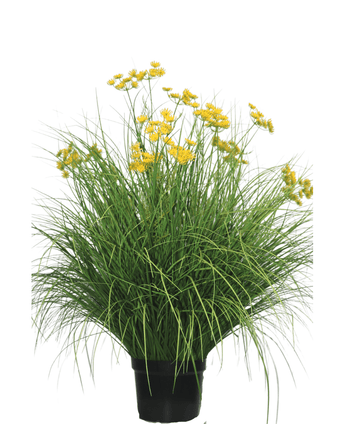 Kunstgræs Asteraceae 100 cm