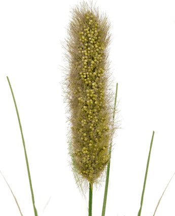 Kunstgræs Matsutake løggræspotte 61 cm brandhæmmende