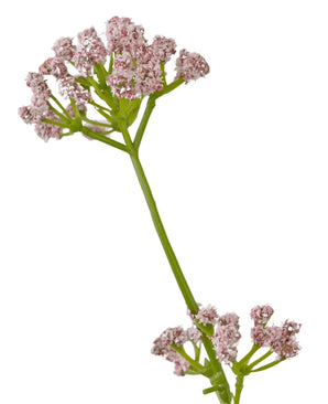 Kunstgræs Porreblomst Løg Græspotte 120 cm brandhæmmende middel har en enkelt grøn stilk med klaser af små, sarte lyserøde blomster mod en hvid baggrund.
