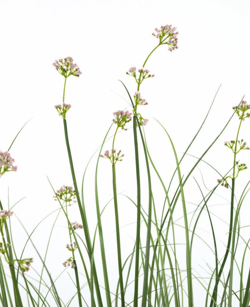 Kunstgræs Porre Blomsterløg Græspotte 120 cm har høje, slanke grønne stængler med klaser af lyserøde blomster og græslignende blade. Denne kunstige plante er brandhæmmende og kommer i en slank potte for et naturligt udseende.