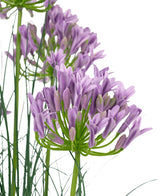 Kunstgræs Lilla Agapanthus Løg Græspotte 90cm Brandhæmmende har en bundt lilla kunstige Agapanthus blomster med slanke grønne stængler og tynde blade mod en hvid baggrund.