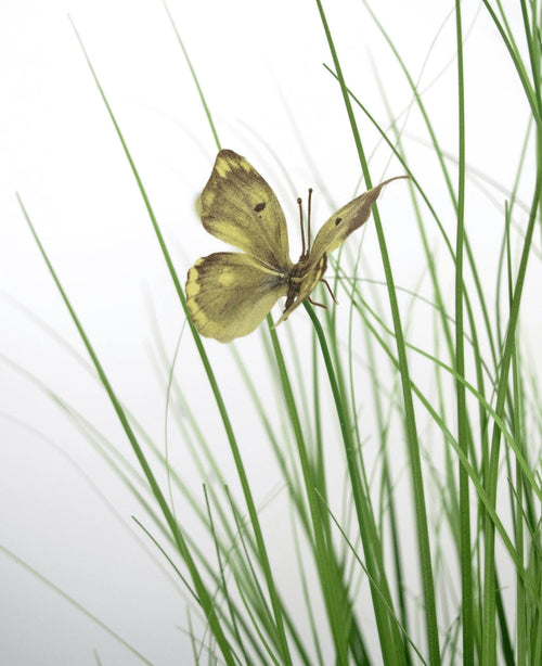 Artificial Grass Butterfly Onion Grass Pot 90cm brandhæmmende middel har en gul sommerfugl med brune markeringer på slanke grønne kunstgræsstrå, mod en hvid baggrund.