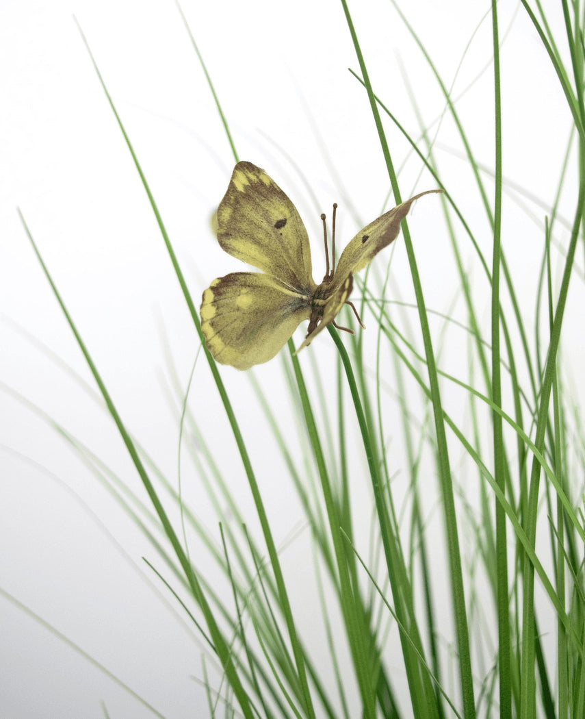 Artificial Grass Butterfly Onion Grass Pot 90cm brandhæmmende middel har en gul sommerfugl med brune markeringer på slanke grønne kunstgræsstrå, mod en hvid baggrund.