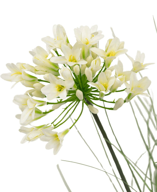 Et nærbillede af kunstgræs hvid Agapanthus løggræspotte 90 cm brandhæmmende viser sarte hvide blomster med en gul midte på lange grønne stængler, omgivet af tjavsede blade, mod en almindelig hvid baggrund.