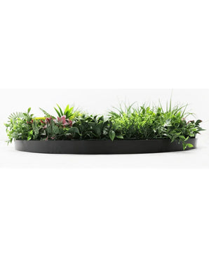 De Kunsthaag op Zwart Frame Ø100 cm is een zwarte, halfronde plantenbak gevuld met weelderig groen gebladerte en enkele roze getinte bladeren, tegen een witte achtergrond.