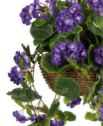 Artificial Begonia Purple in Basket UV 70 cm har livlige lilla kunstige Begonia-blomster og frodige grønne blade, der elegant falder fra en brun vævet kurv for en realistisk, iøjnefaldende visning.