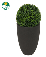 Kunstplant Buxus romeinse stijl UV D30cm: een ronde kunstvorm in een hoge zwarte plantenbak, met UV-bescherming (symbool linksboven).