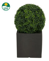 De Kunstplant Buxus romeinse stijl UV D40cm is een ronde kunstvorm met dichte groene bladeren in een vierkante zwarte plantenbak. In de linkerbovenhoek staat een UV-beschermingssymbool met een zon en "UV" tekst.