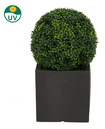 De Kunstplant Buxus romeinse stijl UV D40cm is een ronde kunstvorm met dichte groene bladeren in een vierkante zwarte plantenbak. In de linkerbovenhoek staat een UV-beschermingssymbool met een zon en "UV" tekst.