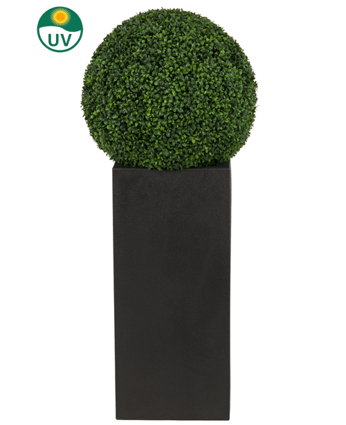 Artificial Plant Buksbom Roman Style UV D55cm, en rund kunstform, står i en høj sort plantekasse med et UV-beskyttelsesikon i øverste venstre hjørne af billedet.
