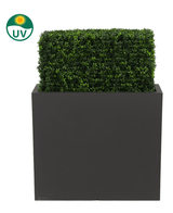 Den kunstige buksbomhæk UV 70x20x50 cm er en rektangulær, UV-beskyttet grøn plastikbuksbomhæk i en høj, sort plantekasse, afbildet på en hvid baggrund med et UV-ikon, der understreger dens solmodstand.