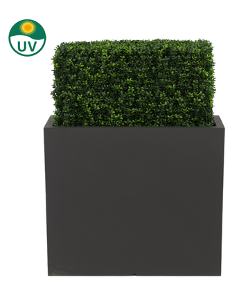 Den kunstige buksbomhæk UV 70x20x50 cm er en rektangulær, UV-beskyttet grøn plastikbuksbomhæk i en høj, sort plantekasse, afbildet på en hvid baggrund med et UV-ikon, der understreger dens solmodstand.