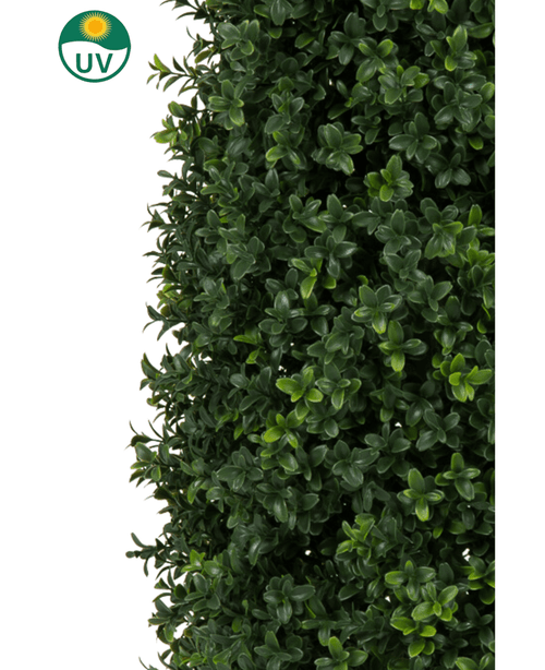 Nærbillede af kunstig plante Buxus Pyramide UV 120 cm viser tæt grønt løv med små, runde blade. Et cirkulært UV-beskyttelsessymbol med en gul sol øverst til venstre understreger plantens UV-modstand mod en hvid baggrund.