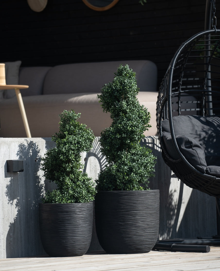 Twee Kunst Buxus Spiraal Romeinse stijl UV 120cm vormsnoeiplanten in plantenbakken met zwarte textuur staan buiten op een betonnen trede, met een moderne schommelstoel en beige bank zichtbaar op de achtergrond.