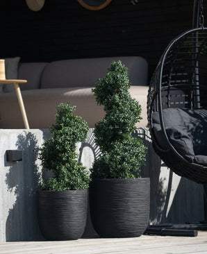 Twee Kunst Buxus Spiraal Romeinse stijl UV 120cm vormsnoeiplanten in plantenbakken met zwarte textuur staan buiten op een betonnen trede, met een moderne schommelstoel en beige bank zichtbaar op de achtergrond.