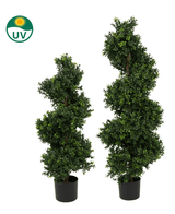 Twee Kunst Buxus Spiraal Romeinse stijl UV 120cm vormbomen in zwarte potten staan naast elkaar, met een klein groen en geel UV-beschermingspictogram in de linkerbovenhoek van de afbeelding.