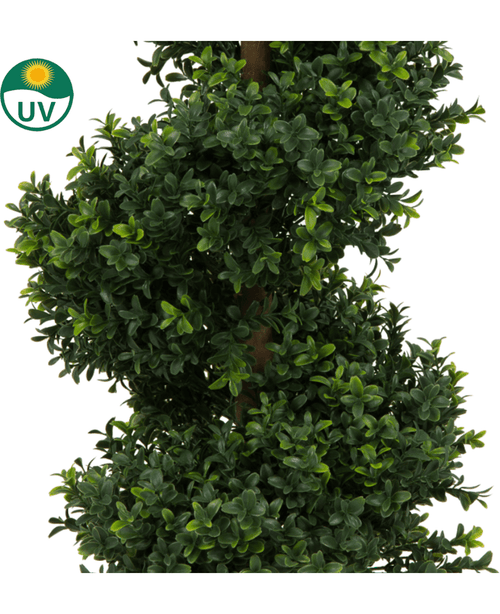 Nærbillede af Artificial Boxwood Spiral Roman style UV 90cm, en frodig kunstig plante med tætte, blanke blade, der vokser spiralformet rundt om stammen. Et UV-logo med et solikon øverst til venstre indikerer UV-modstand.