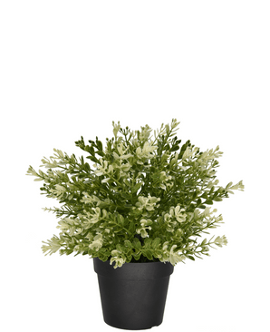 Kunstig Buxus i potte 23 cm UV