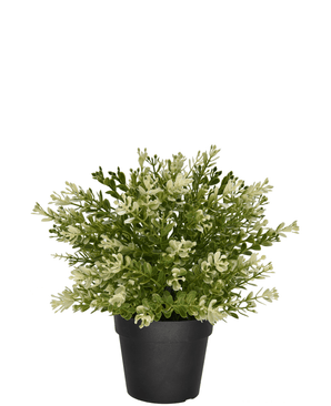 Kunstig Buxus i potte 23 cm UV